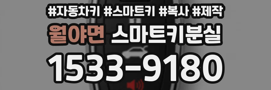 월야면 스마트키분실