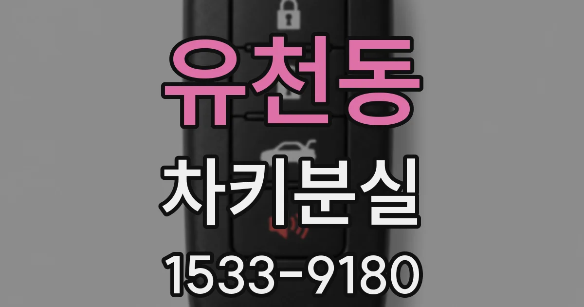 유천동 차키분실