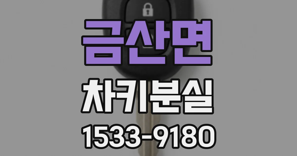 금산면 차키분실