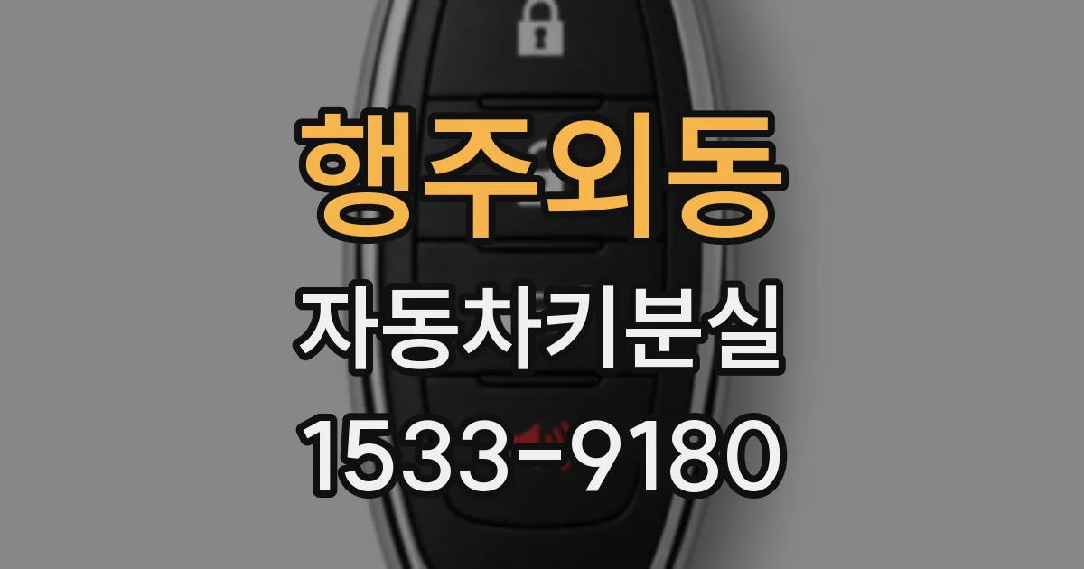 행주외동 자동차키분실