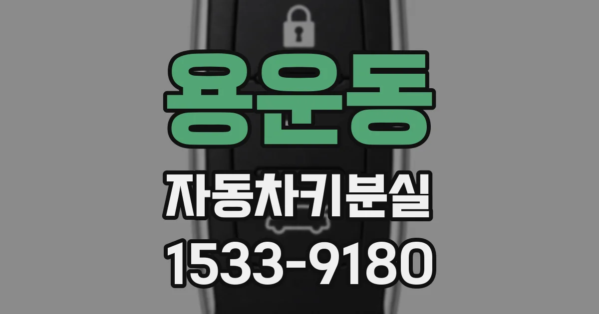 용운동 자동차키분실