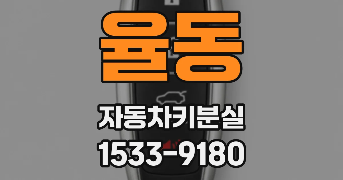 율동 자동차키분실