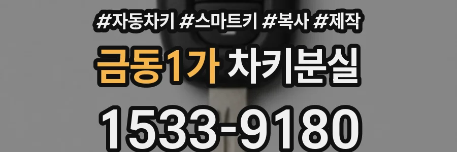 금동1가 차키분실