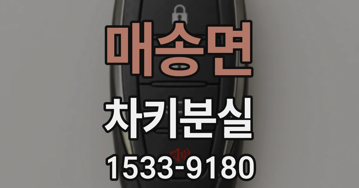 매송면 차키분실