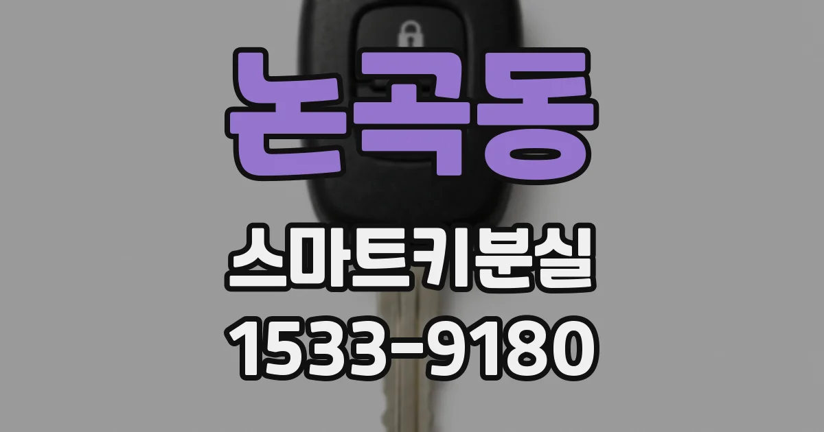 논곡동 스마트키분실
