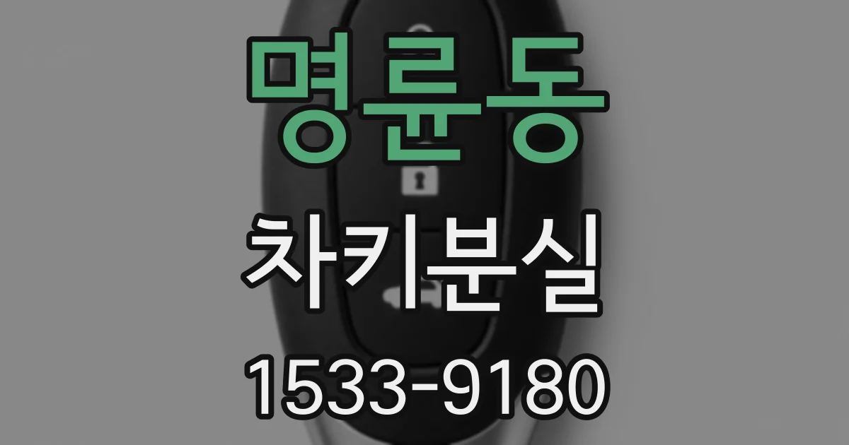 명륜동 차키분실