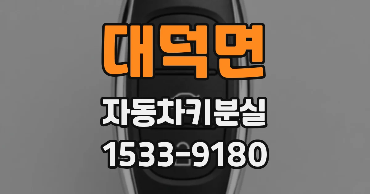대덕면 자동차키분실