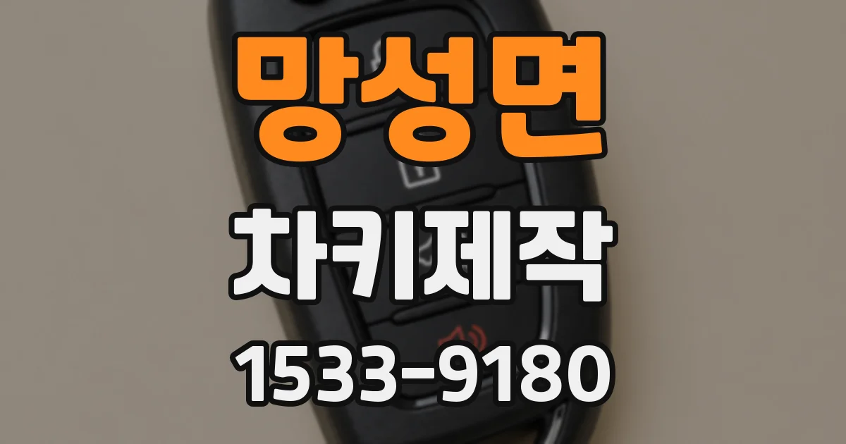 망성면 차키제작