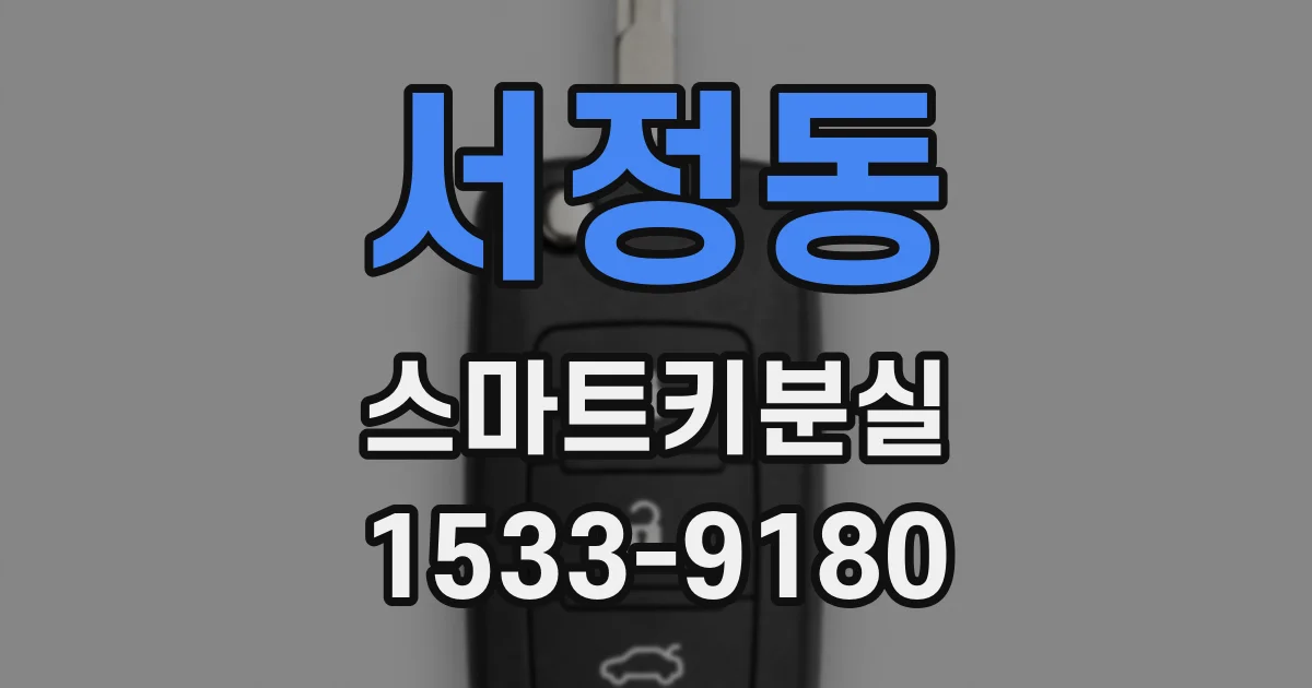 서정동 스마트키분실