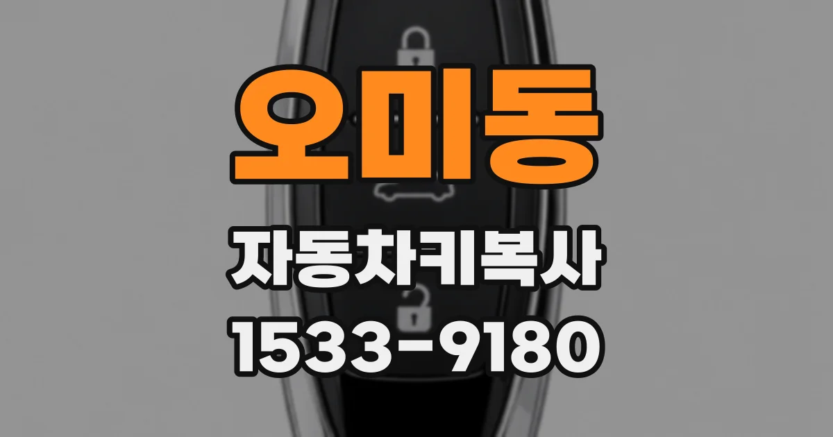 오미동 자동차키복사