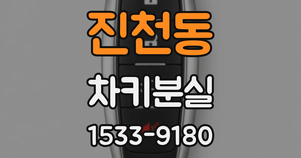 진천동 차키분실