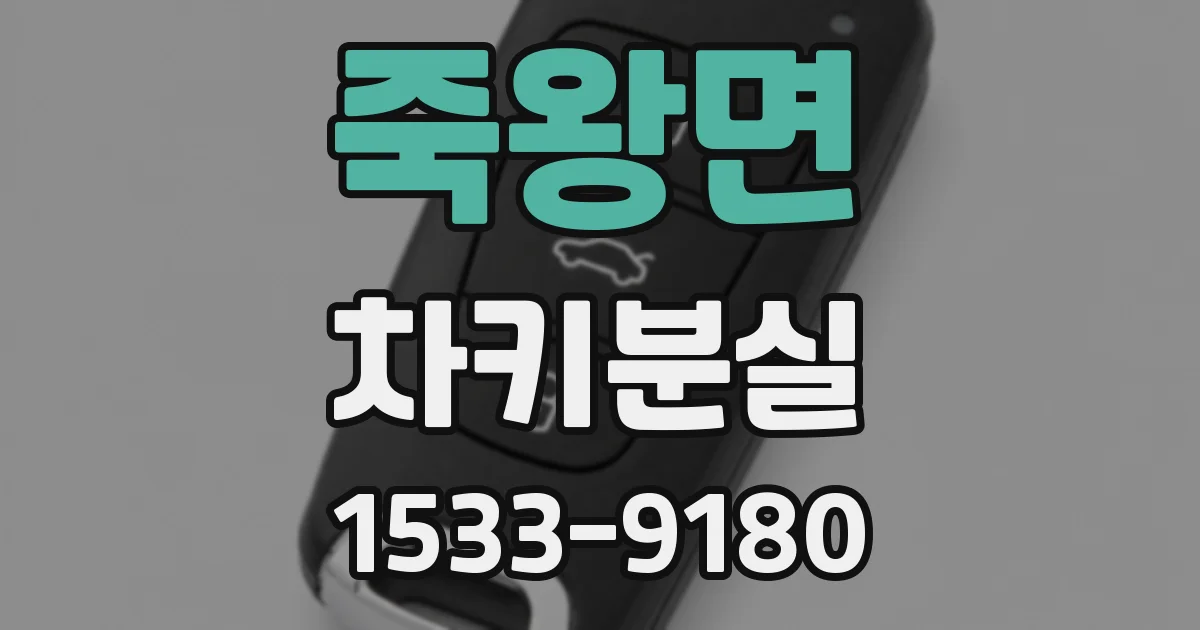 죽왕면 차키분실