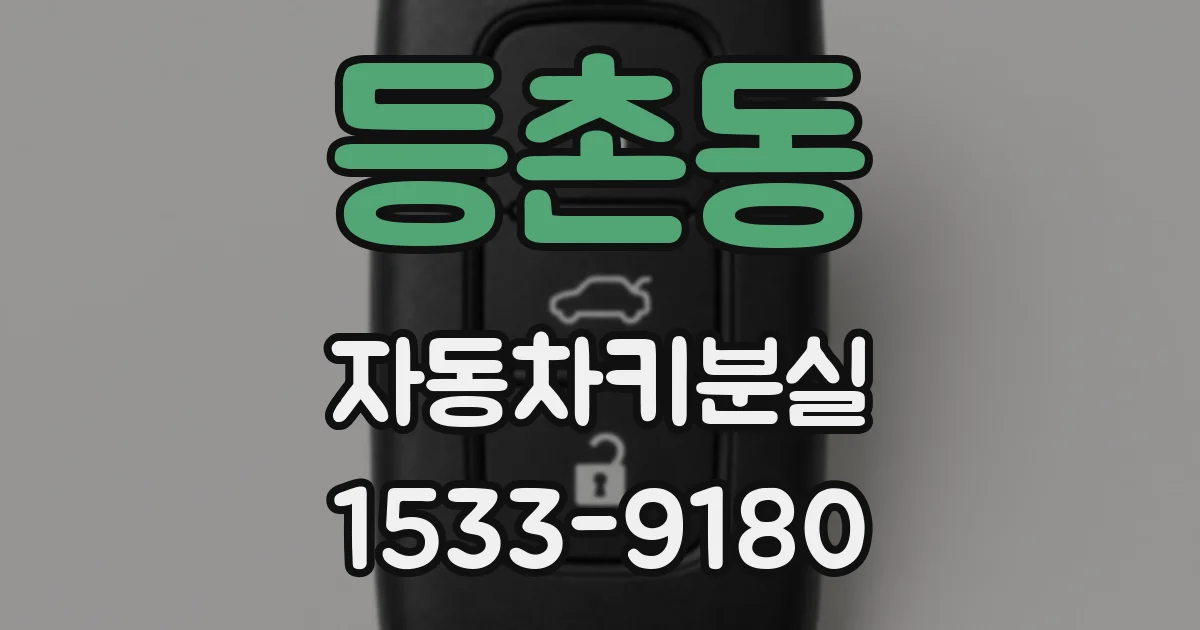 등촌동 자동차키분실
