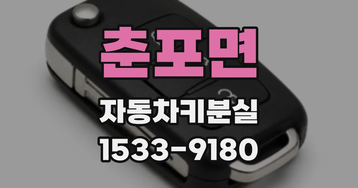 춘포면 자동차키분실