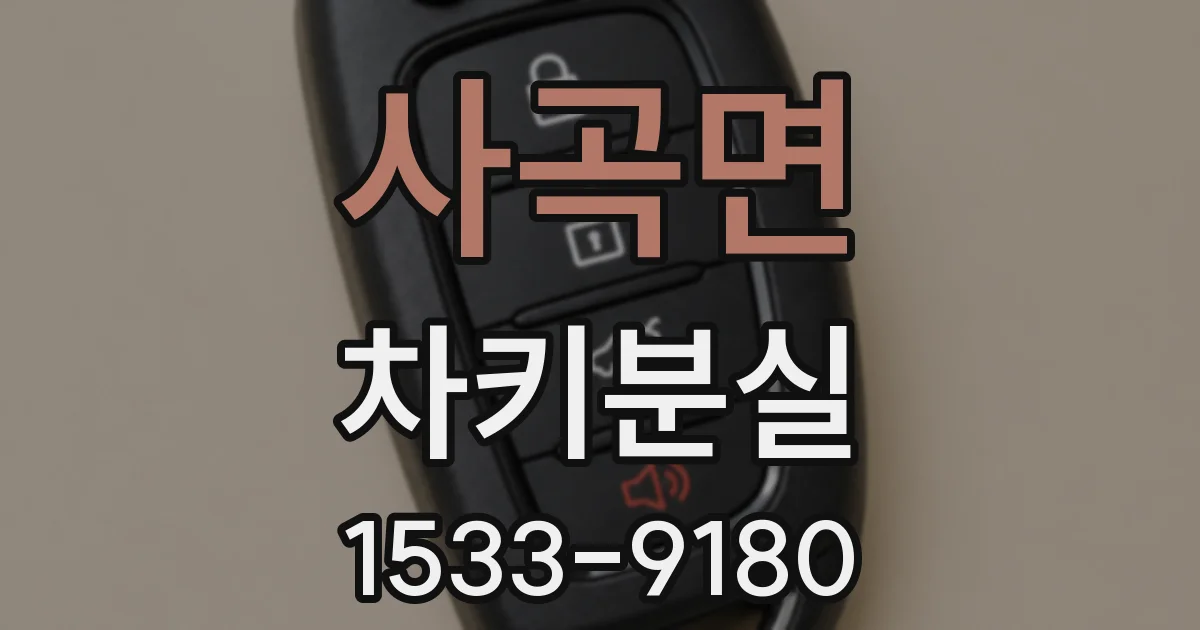 사곡면 차키분실