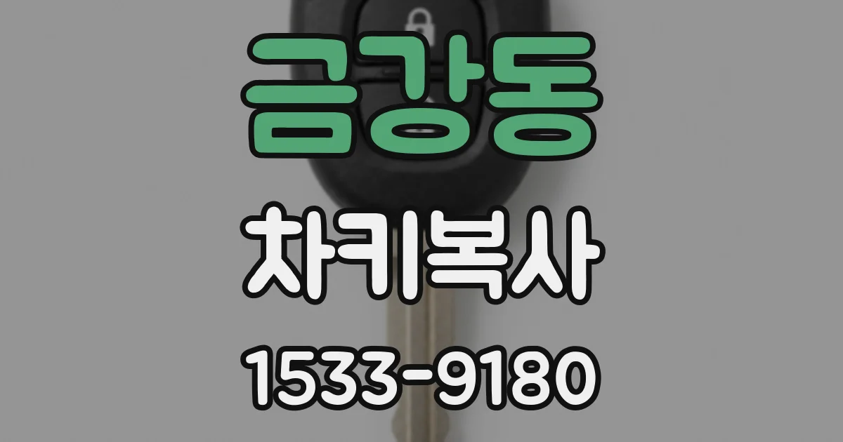 금강동 차키복사