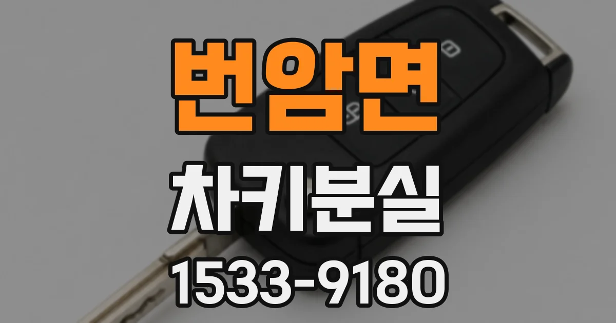 번암면 차키분실