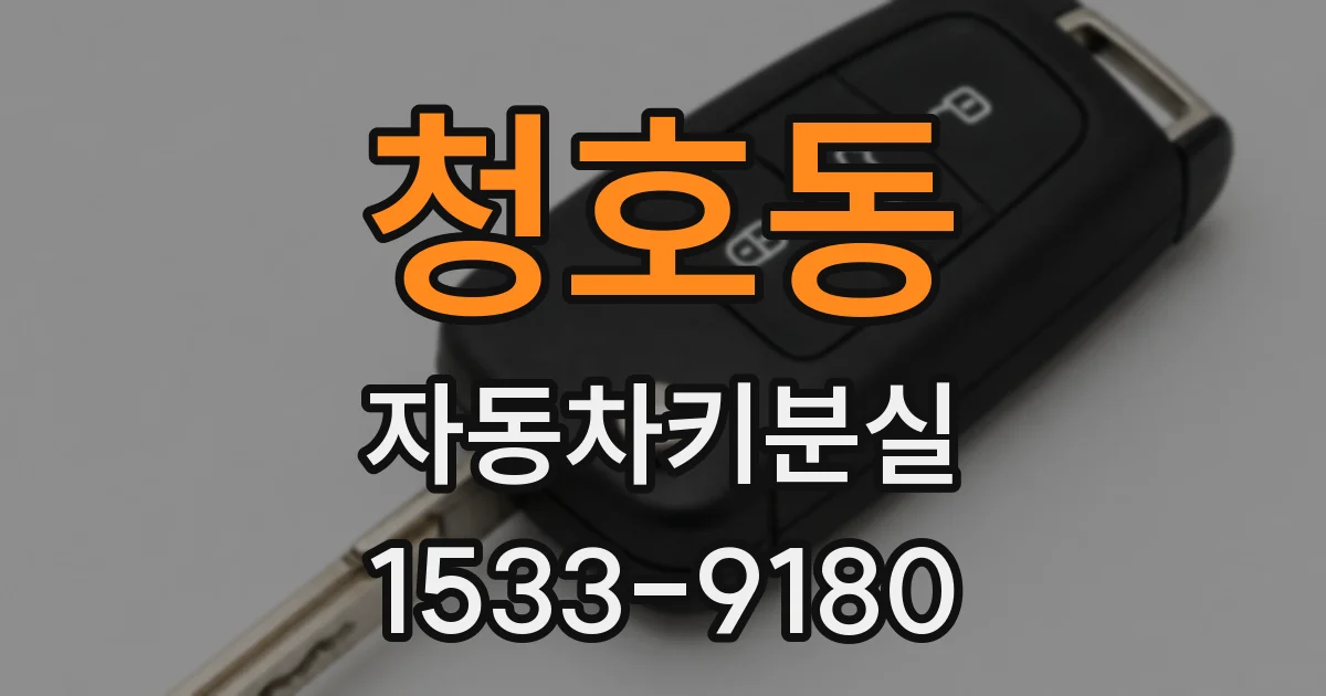 청호동 자동차키분실