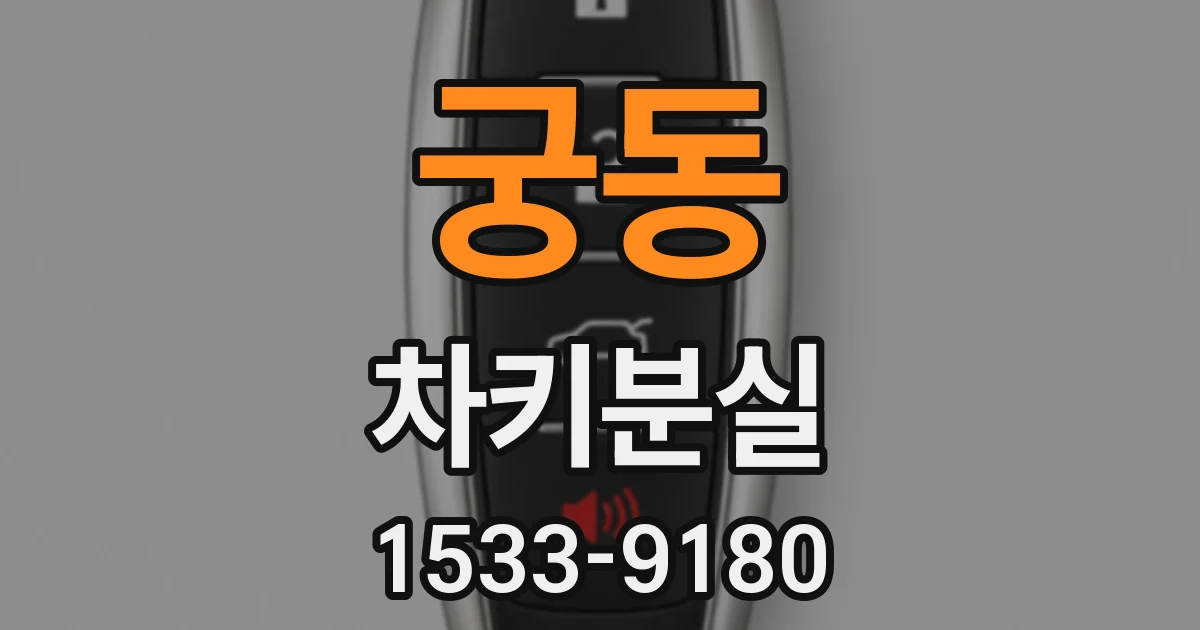 궁동 차키분실