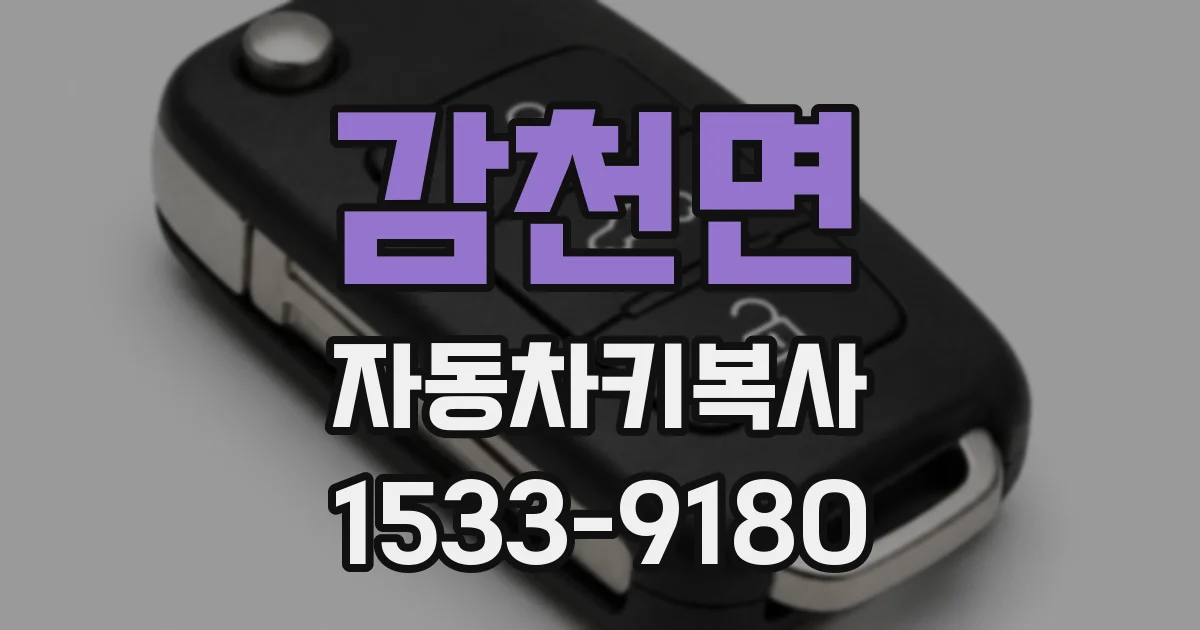 감천면 자동차키복사