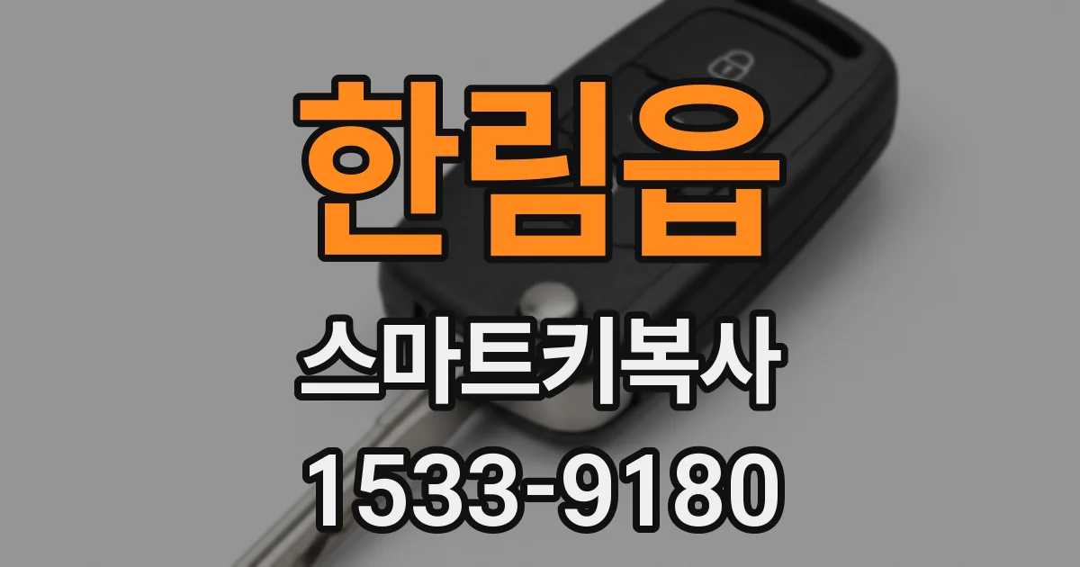 한림읍 스마트키복사