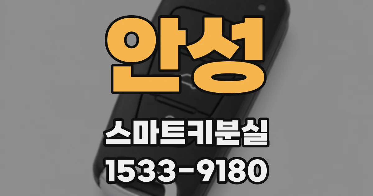 안성 스마트키분실