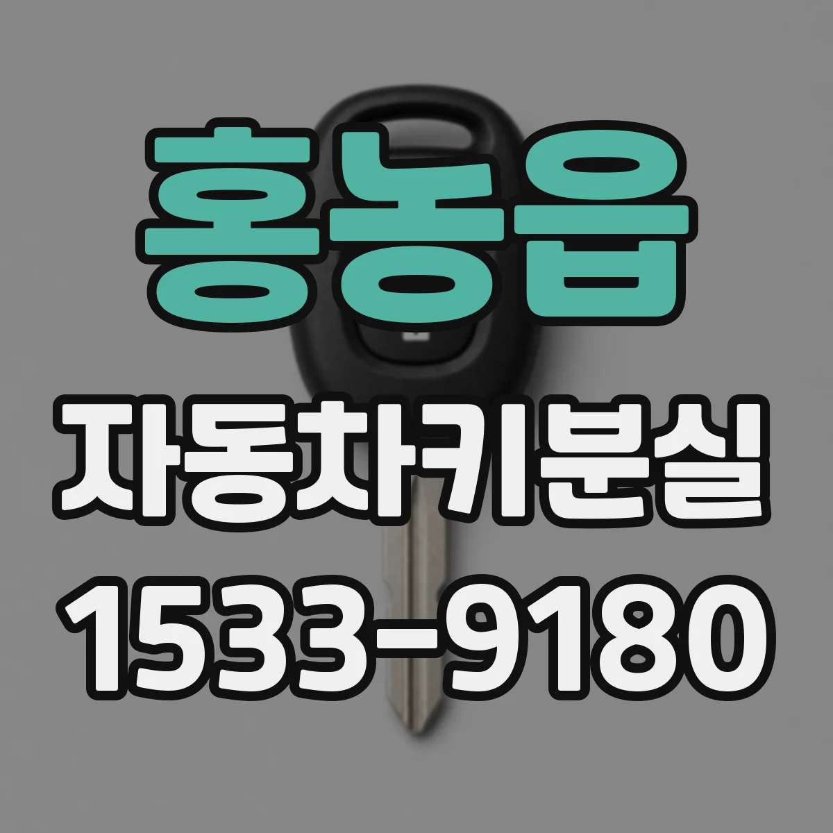 홍농읍 자동차키분실