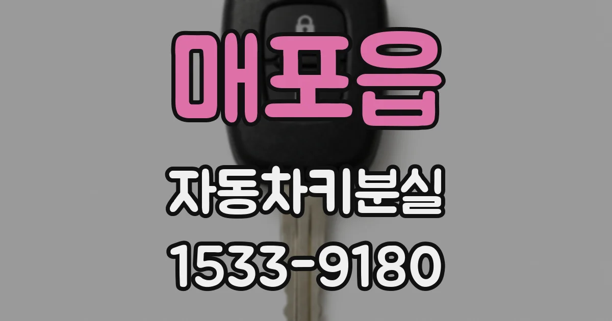 매포읍 자동차키분실