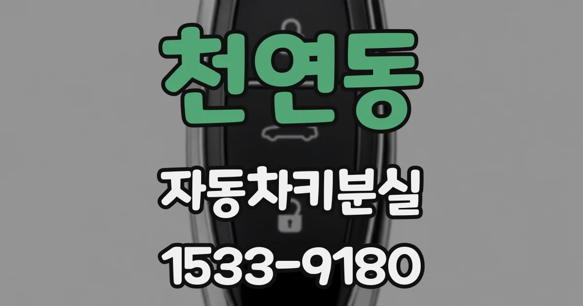 천연동 자동차키분실
