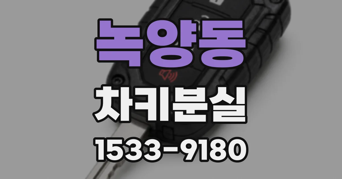 녹양동 차키분실