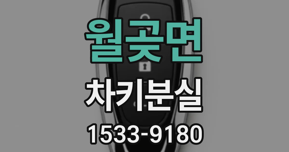 월곶면 차키분실