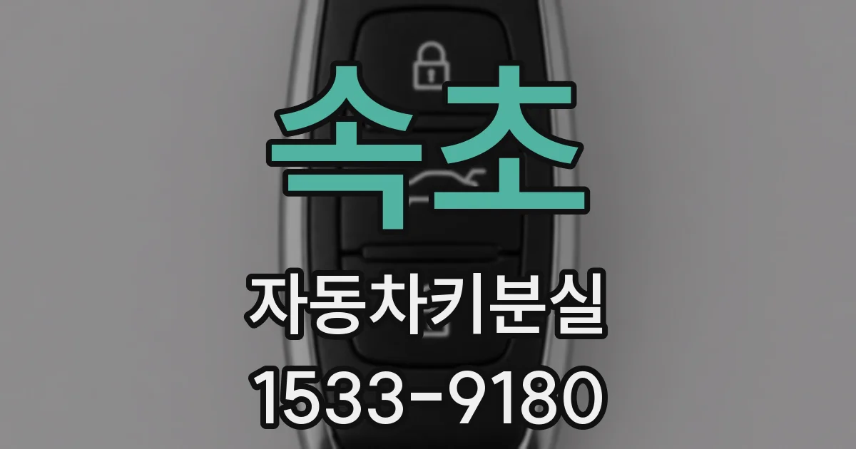 속초 자동차키분실