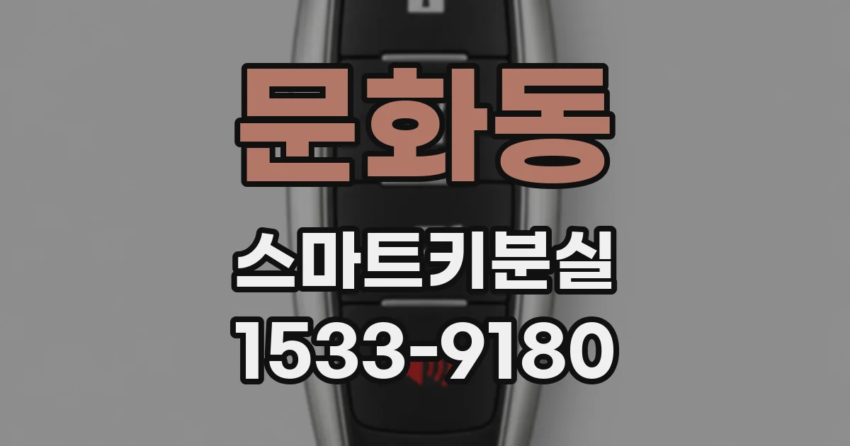 문화동 스마트키분실