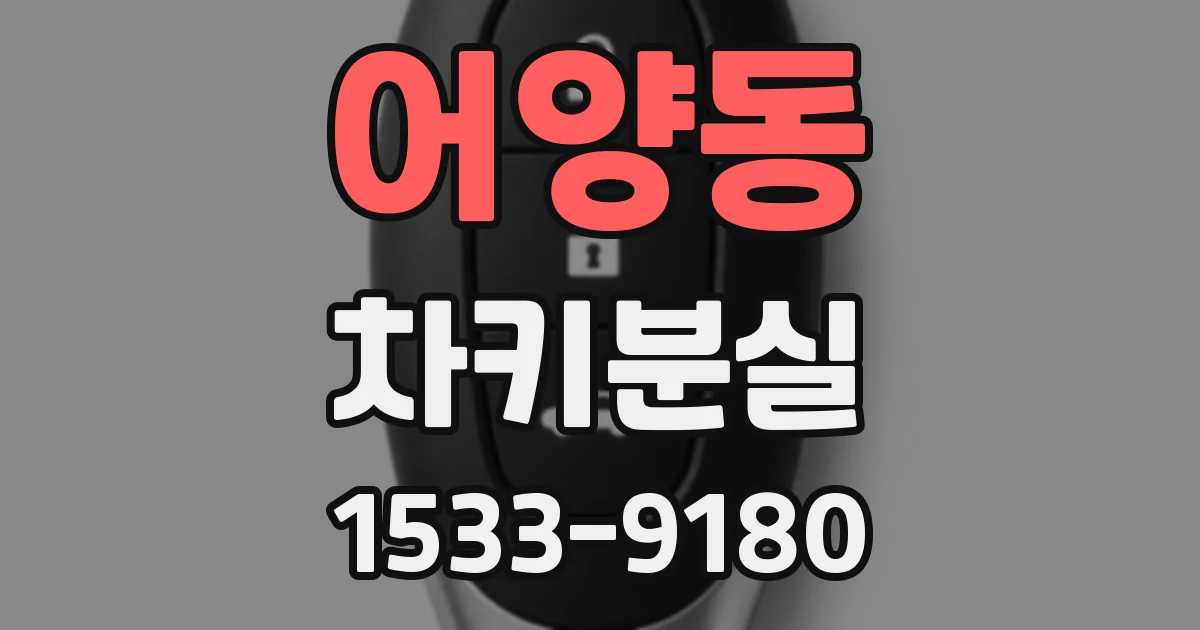 어양동 차키분실