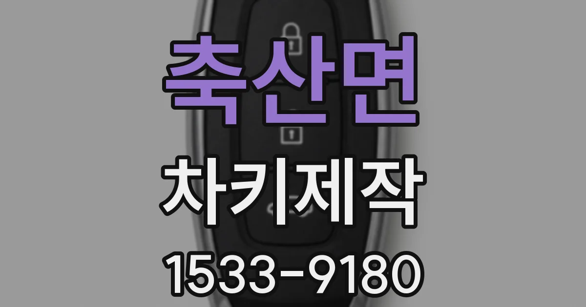 축산면 차키제작