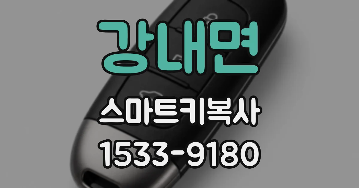 강내면 스마트키복사