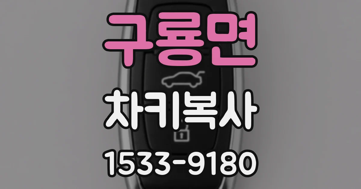 구룡면 차키복사