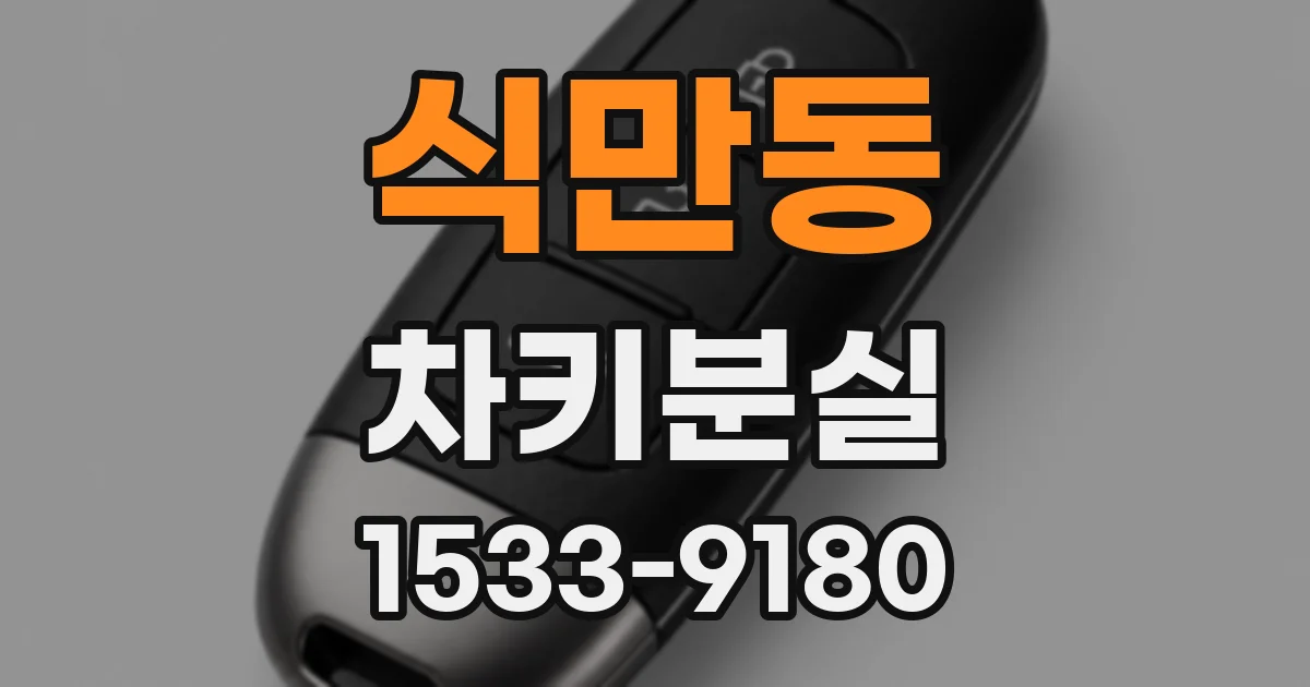 식만동 차키분실