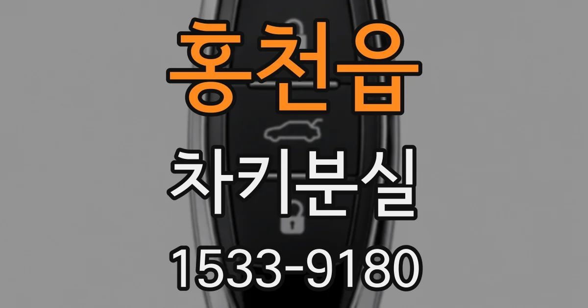 홍천읍 차키분실