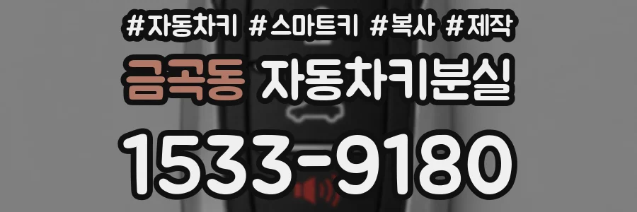 금곡동 자동차키분실