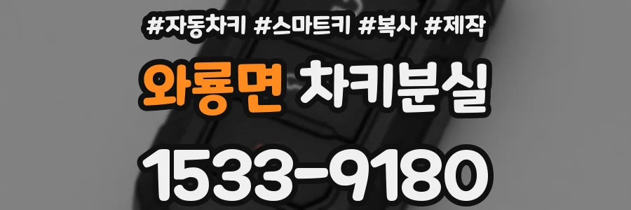 와룡면 차키분실