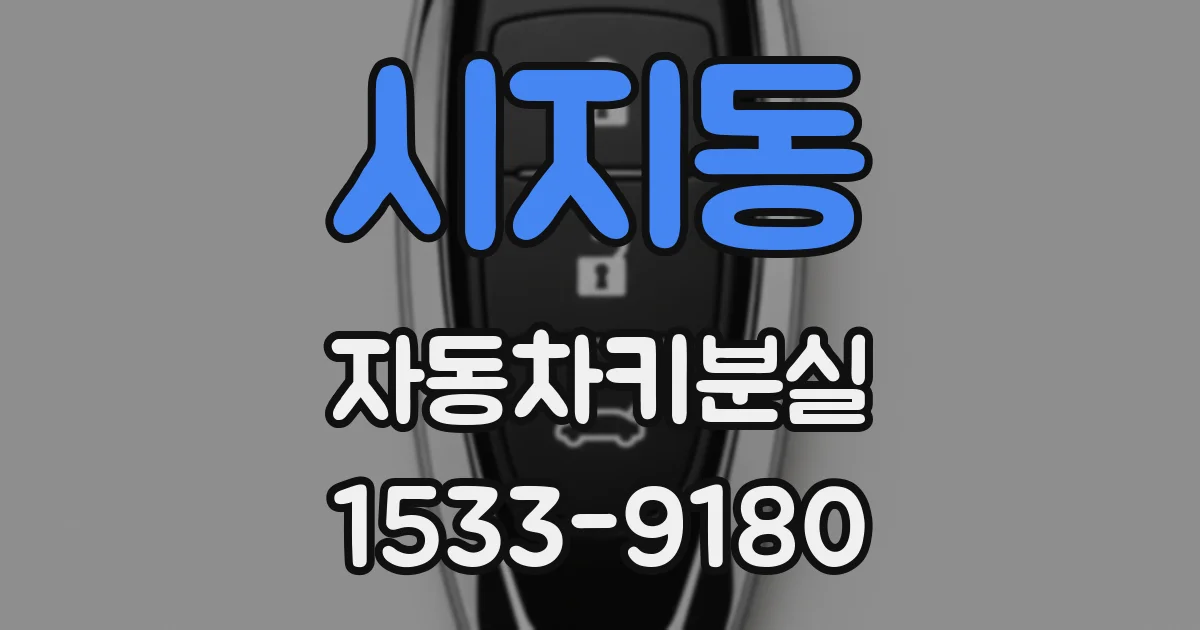 시지동 자동차키분실