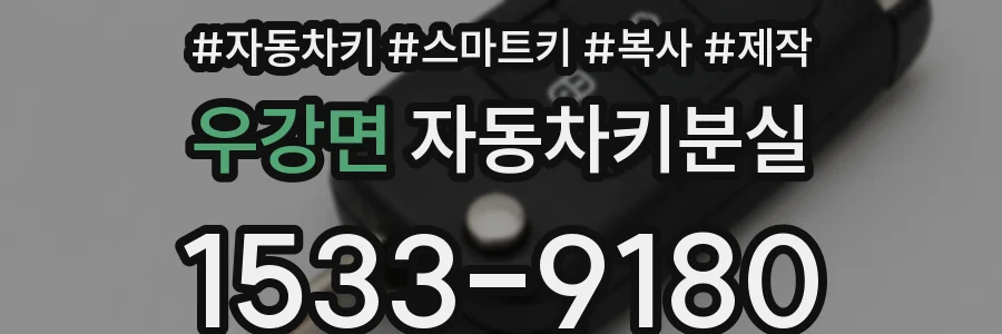 우강면 자동차키분실