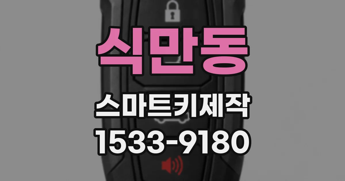 식만동 스마트키제작
