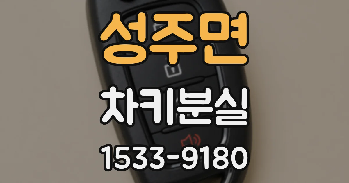 성주면 차키분실