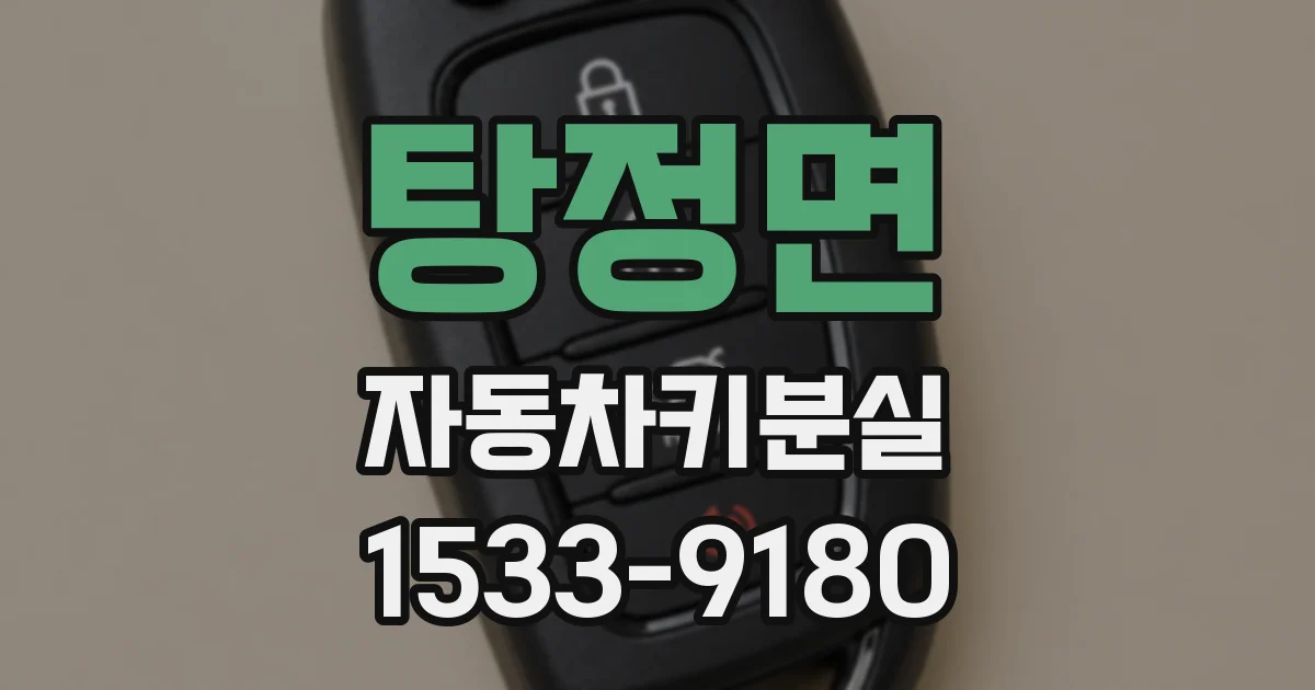 탕정면 자동차키분실