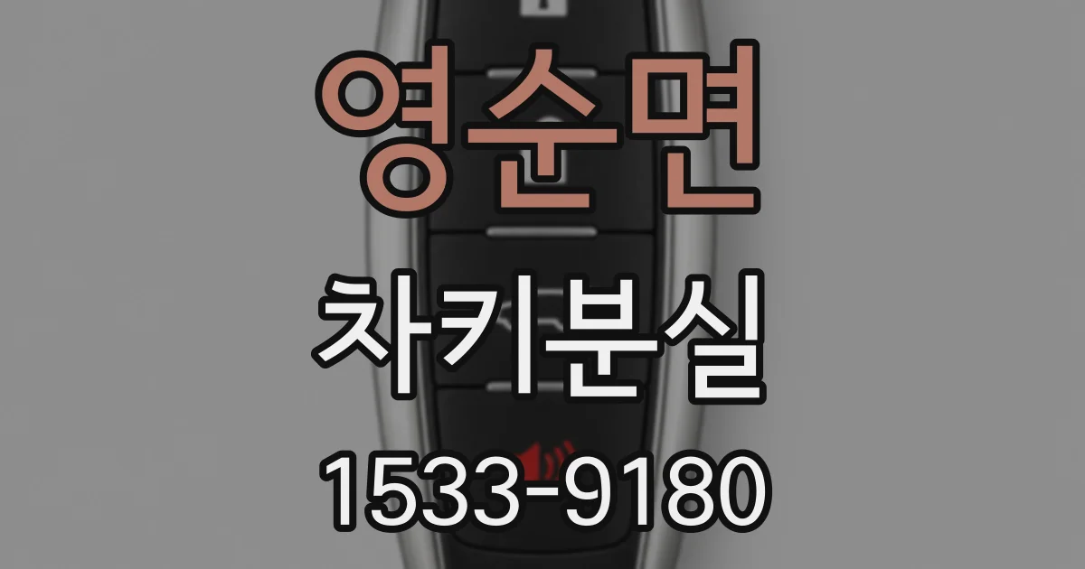 영순면 차키분실