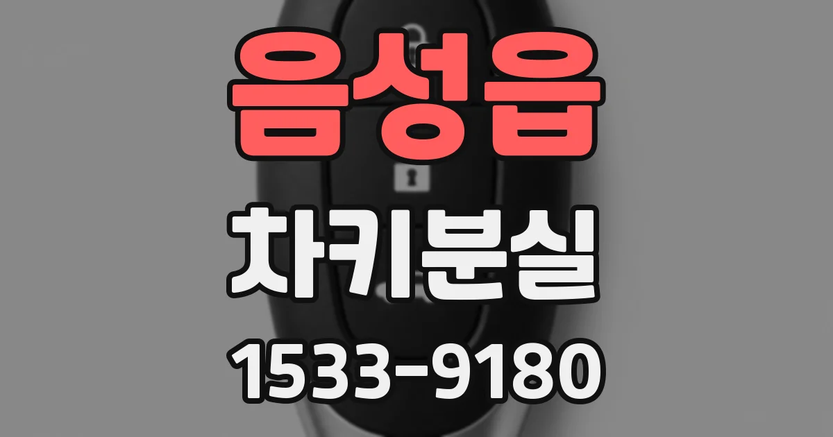음성읍 차키분실