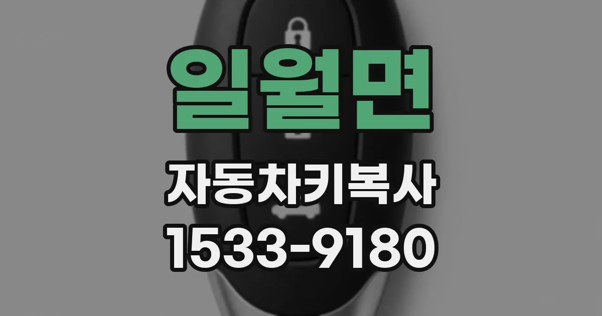일월면 자동차키복사
