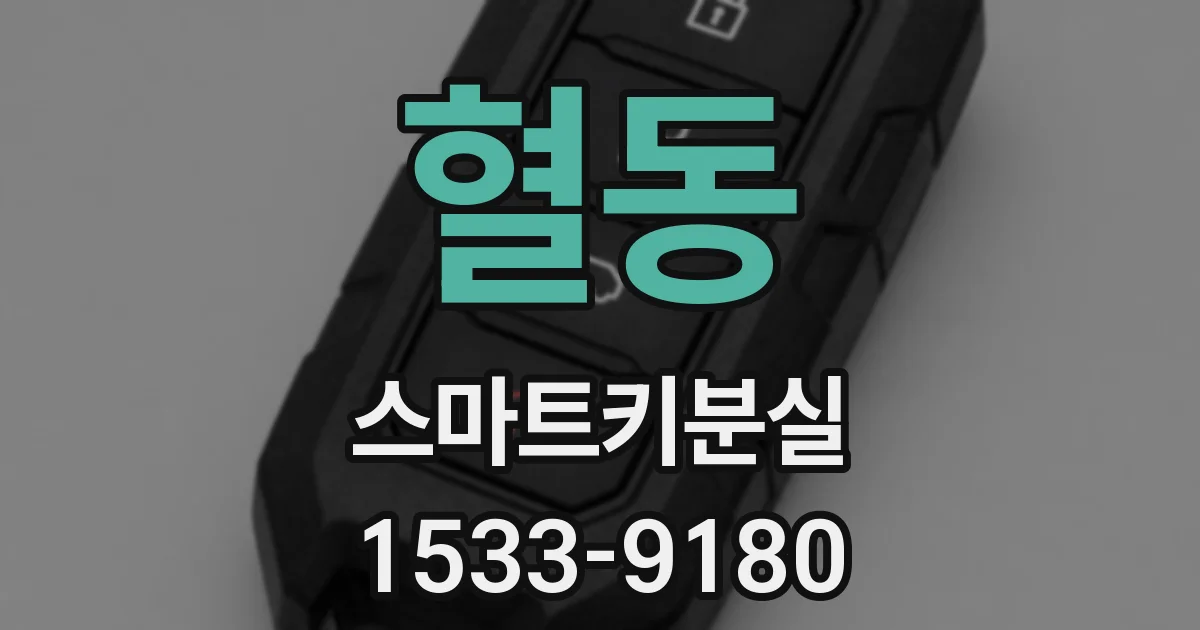 혈동 스마트키분실